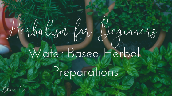 Herbalism for Beginners: Water-Based Preparations