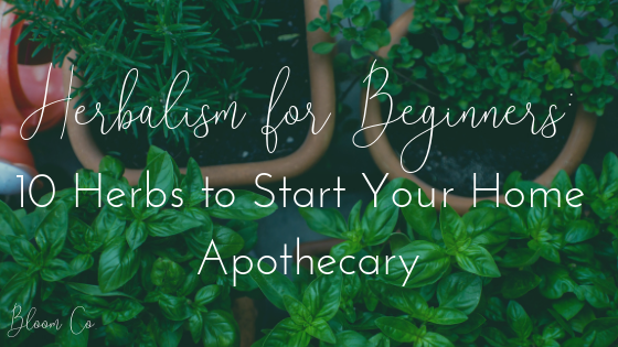 Herbalism for Beginners: Starting Your Home Apothecary