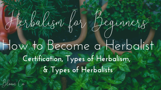 Herbalism for Beginners: How to Become a Herbalist